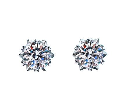 Moissanite Earings (Pass diamond Tester)