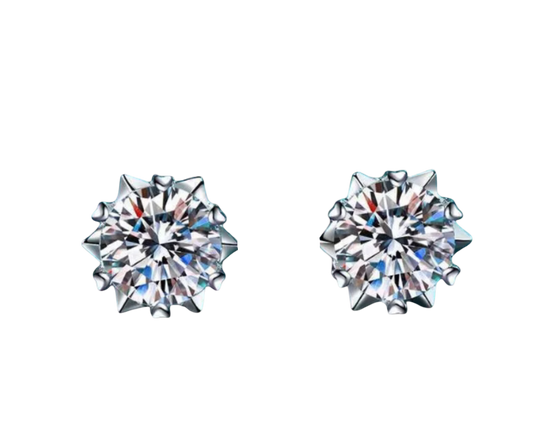 Moissanite Earings (Pass diamond Tester)
