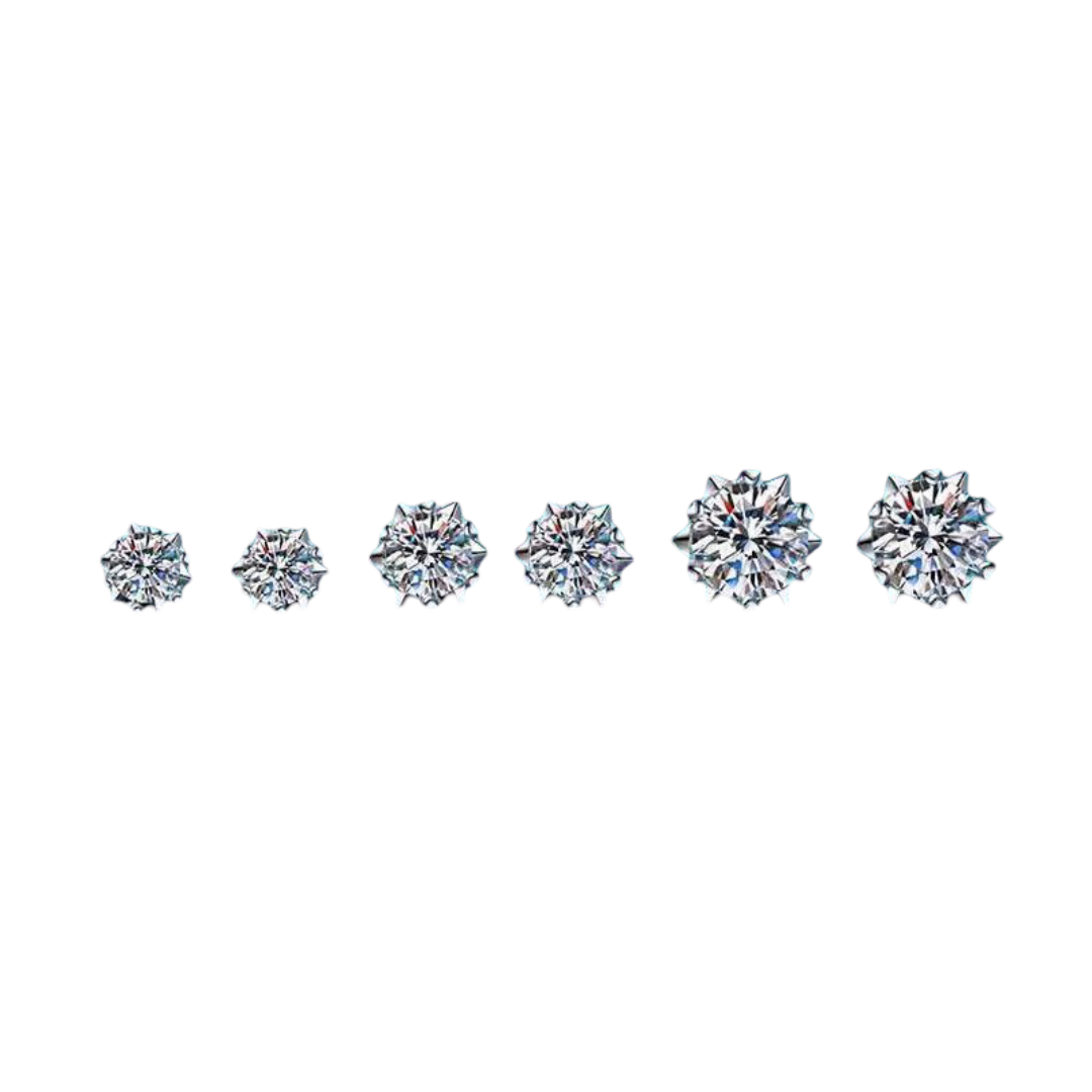Moissanite Earings (Pass diamond Tester)