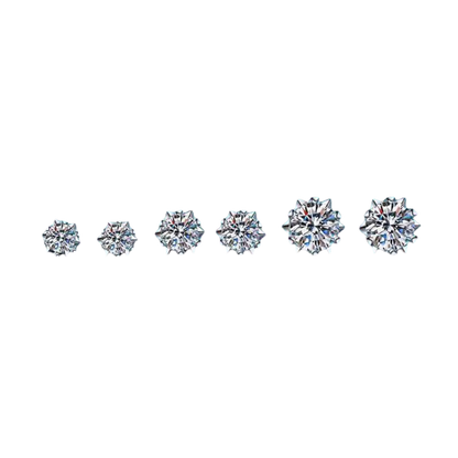 Moissanite Earings (Pass diamond Tester)